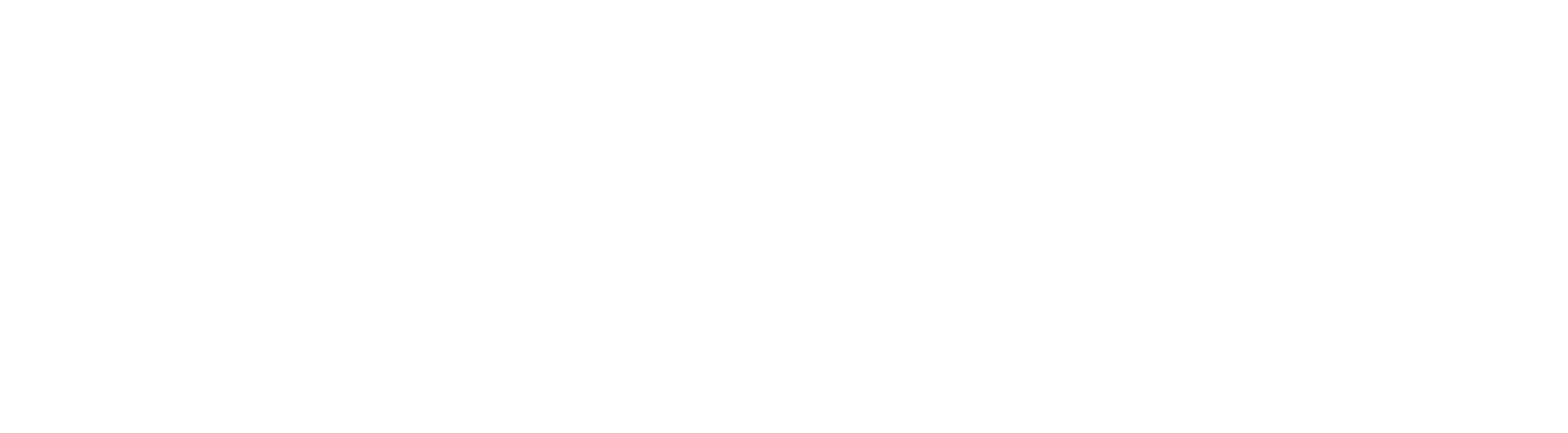 Transformation Partners in Health and Care